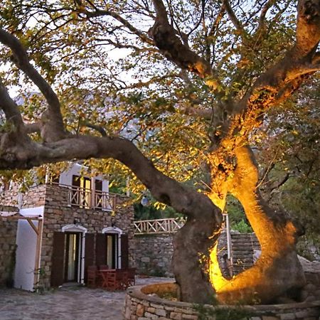 Villa Ικαριων Γη Manganítis Esterno foto