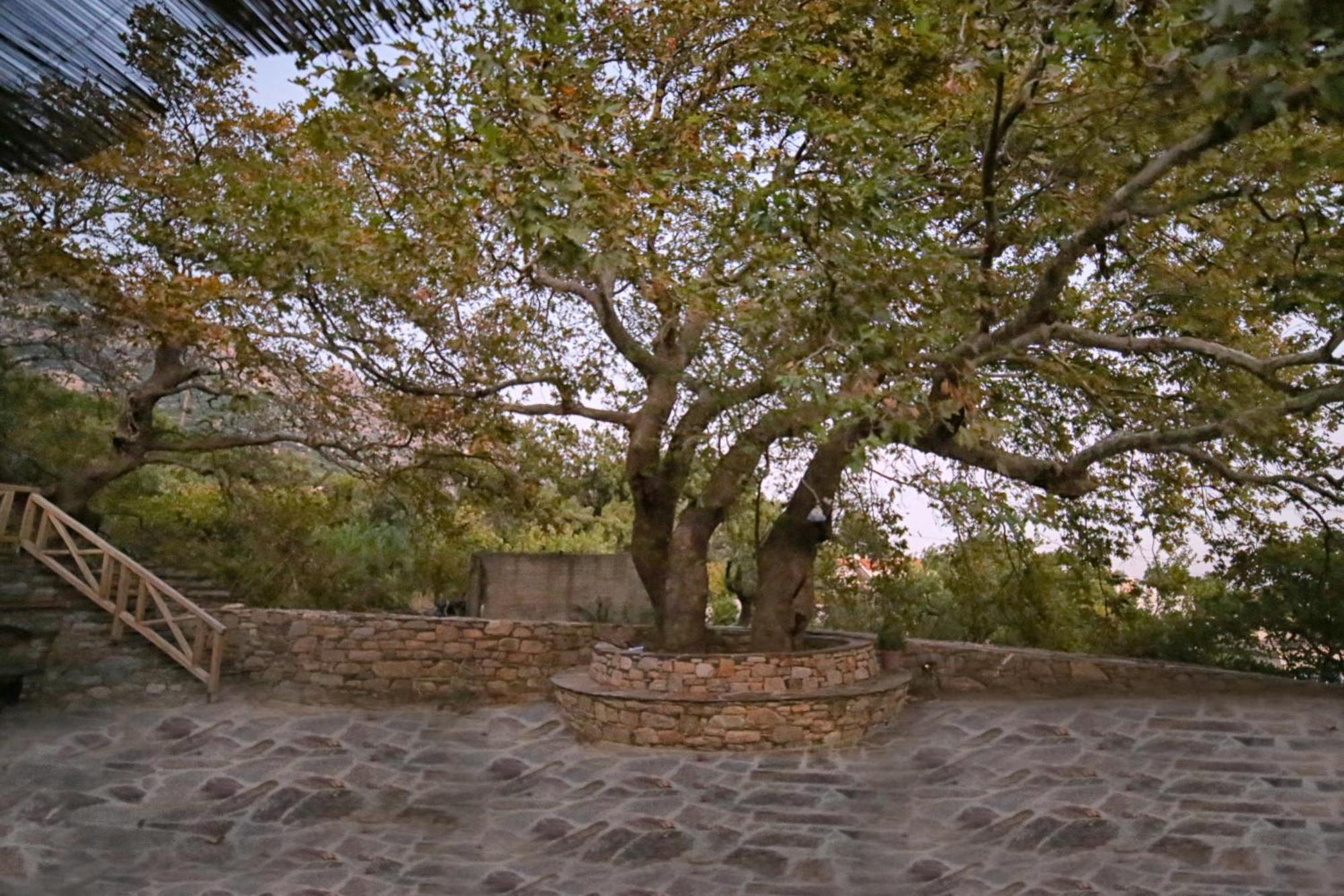 Villa Ικαριων Γη Manganítis Esterno foto