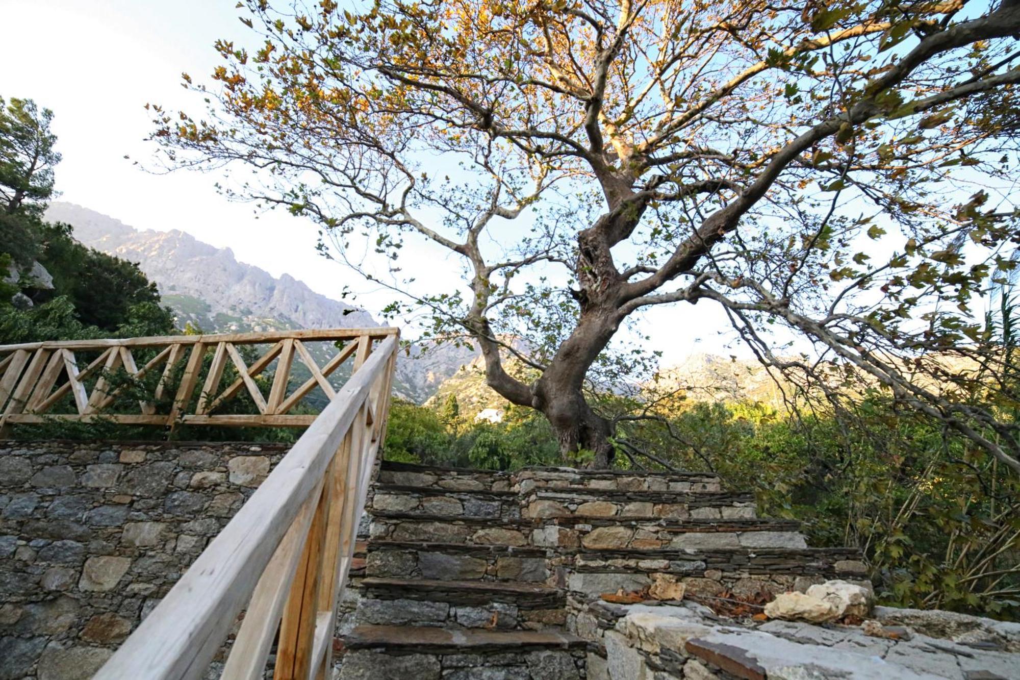 Villa Ικαριων Γη Manganítis Esterno foto